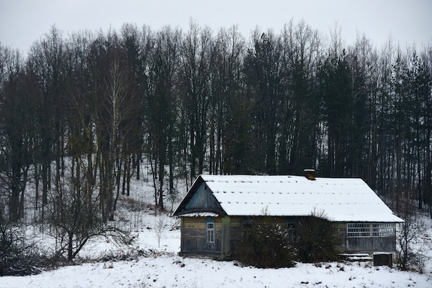 Oud huis in het de winterbos