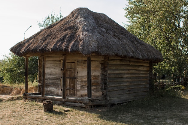 Oud huis met rieten dak in het bos