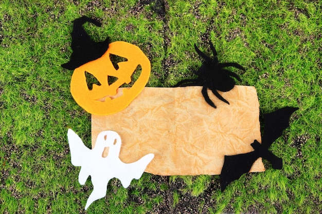 Foto oud papier met halloween decoraties op groene mos achtergrond