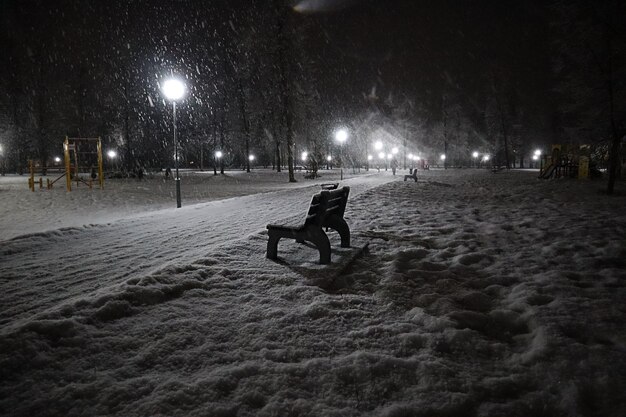 Oud park op een winteravond tijdens sneeuwval