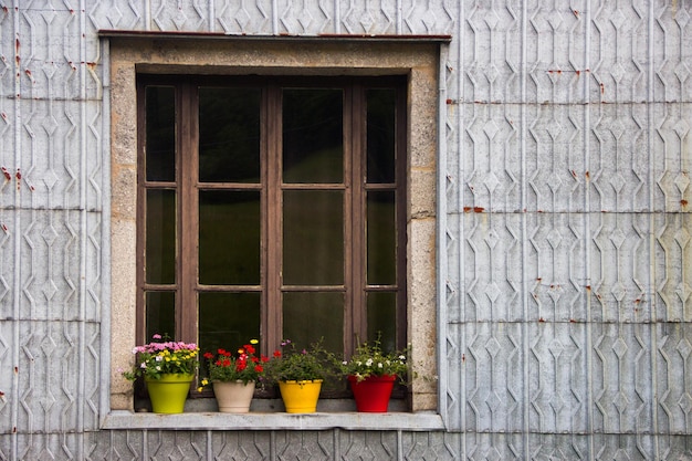 oud raam met kleurrijke bloempotten