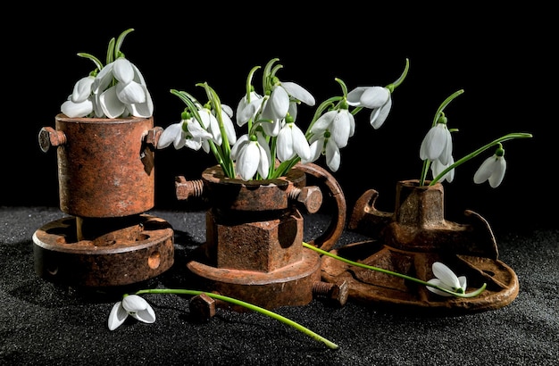 Oud roestige metalen gereedschap en witte sneeuwpoppen op een zwarte achtergrond