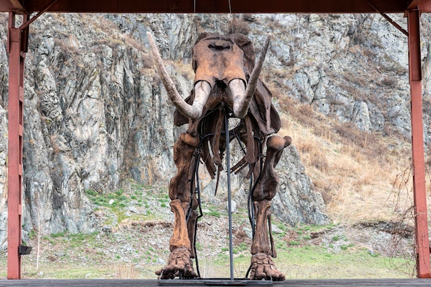 Oud skelet van een prehistorisch dier staat tegen de achtergrond van de natuur en bergen