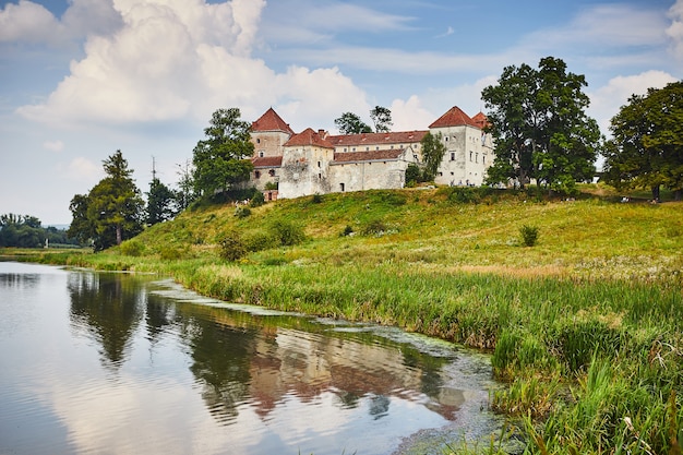Foto oud svirzh-kasteel met meer en bomen