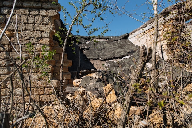 Oud verlaten verwoest huis het dak van het huis stortte in rond het huis groeide bomen