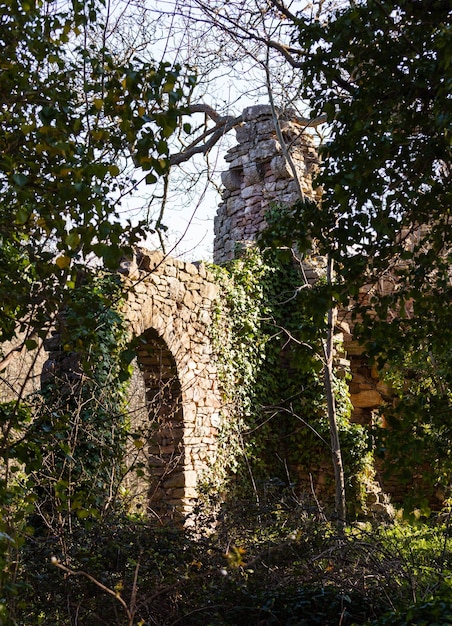 Oud verwoest kasteel in bos