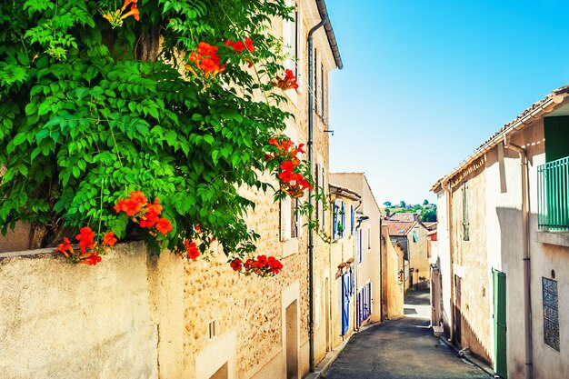 Oude architectuur en boom met roze bloemen op straat in Valensole, Provence, Frankrijk. Selectieve aandacht.