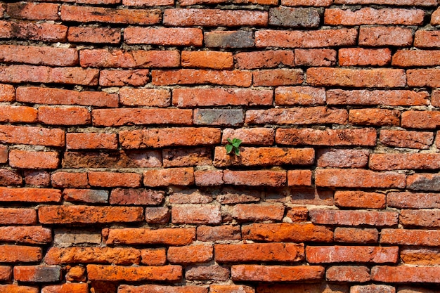 Oude bakstenen muur textuur achtergrond