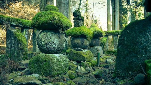 Oude bemoste stenen sculpturen in japans bos