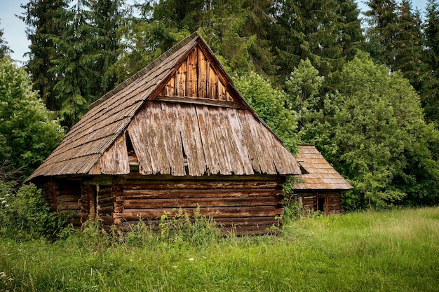Oude blokhut in het bos