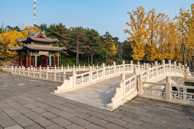 Oude bouwlofts en ginkgo-bomen zijn in Jinci Park, Taiyuan, Shanxi, China