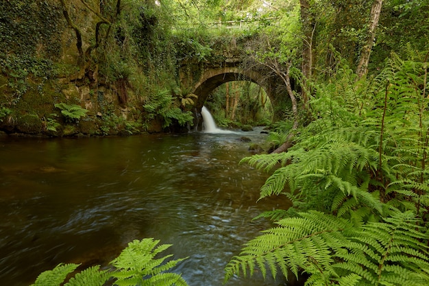Oude brug over een kleine rivier genaamd Opelan, op het gebied van Galicië, Spanje.