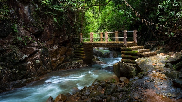 Oude brug over natuurlijke stroomwaterval en groen bos in het bergconcept dat op vakantietijd reist en ontspant