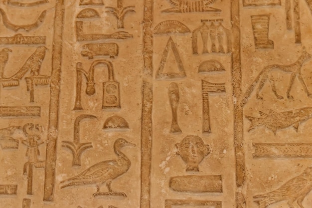 Oude Egyptische hiërogliefen uitgehouwen op de stenen muur