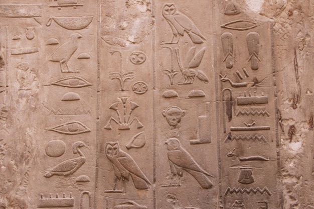 Oude Egyptische schrift Egyptische hiërogliefen muurinscripties