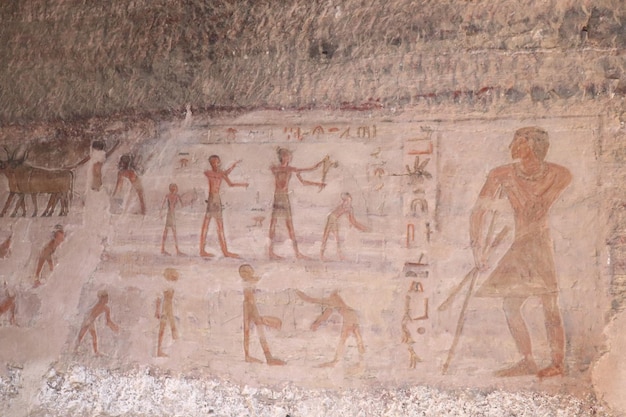 Foto oude egyptische vingen en hiërogliefen bij graven van de edelen in aswan egypt