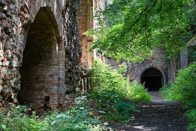 oude en verlaten militaire vestingwerken. Tarakanovsky fort