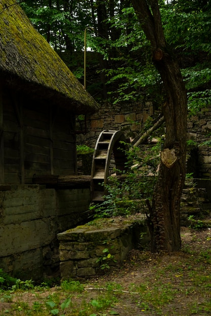 Oude en verlaten watermolen in het bos