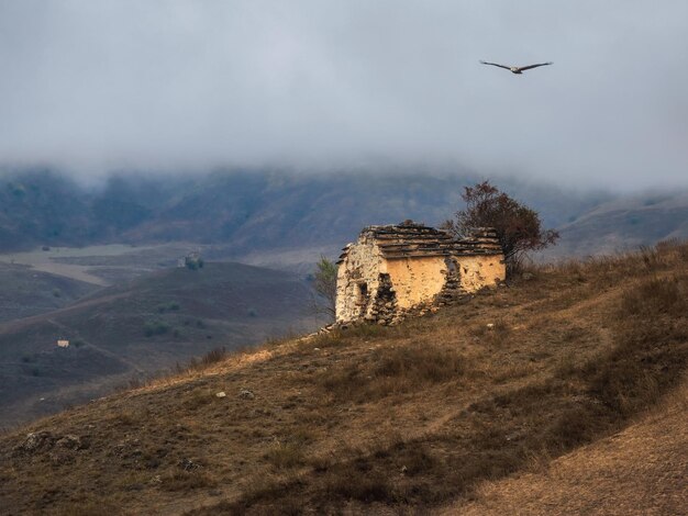 Oude familiecrypte op een mistige berghelling Oud Erzi-torencomplex in de Jeyrah-kloof, gelegen aan het uiteinde van de bergketen in Ingoesjetië, Rusland