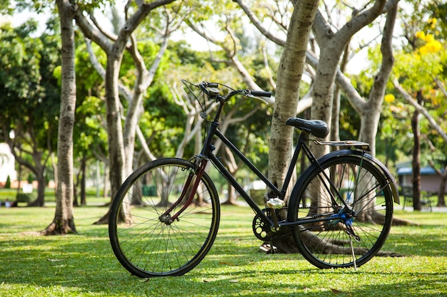 Oude fiets in het park.