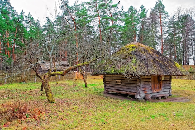 Oude gebouwen in het etnografisch openluchtdorp Riga, Letland