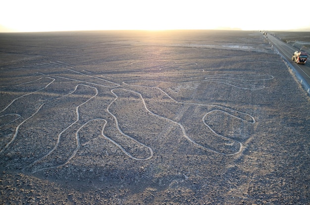 Oude geoglyphs van Nazca-lijnen genoemd Arbol-boom in Nazca-woestijn van Ica-gebied Peru