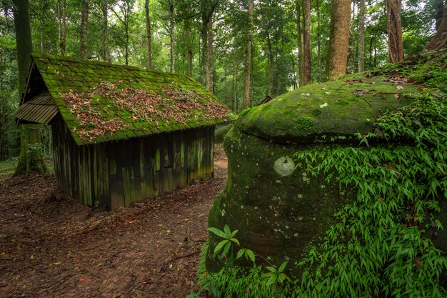 Oude groene hut houten politieke en militaire school in Phuhinrongkla National Park Nakhon T