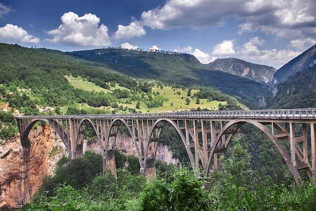 Oude grote brug in Durdevica en fantastisch uitzicht Tara rivierkloof is de grootste kloof in Europa...