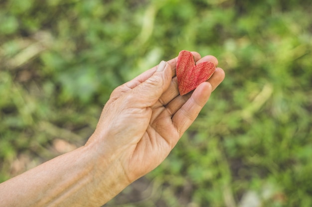 Oude hand grootmoeder greep hart