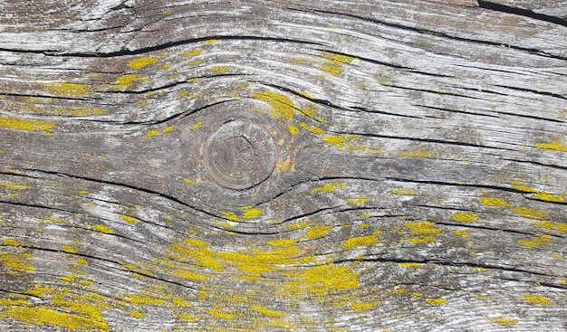 Oude houten achtergrond Houtstructuur met natuurlijk patroon