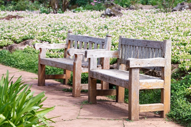 Oude houten bank in de tuin