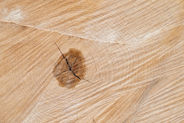 Oude houten berken snijvlak. Gedetailleerde warme donkerbruine en oranje tinten van een gevelde stam of stronk