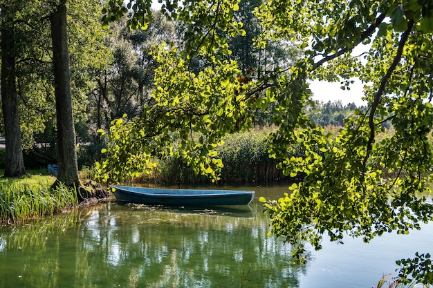 Oude houten boot in de rietstruiken aan de oever van een brede rivier of meer