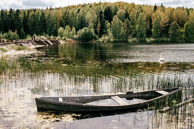 Oude houten boot in overwoekerde vijver over schilderachtig landschap