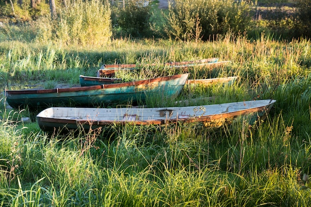 Oude houten boten op een overwoekerde kust met gras bij zonsondergang