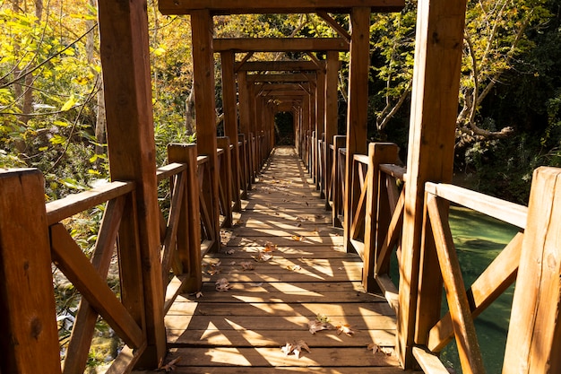 Oude houten brug in de natuur