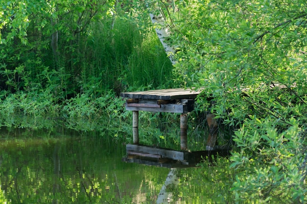 Oude houten brug over de vijver.