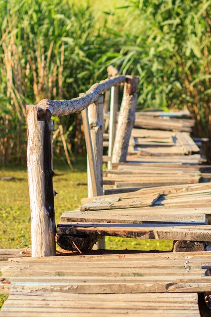 Oude houten brug over kleine rivier begroeid met riet