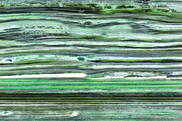 Oude houten groene deur grunge textuur