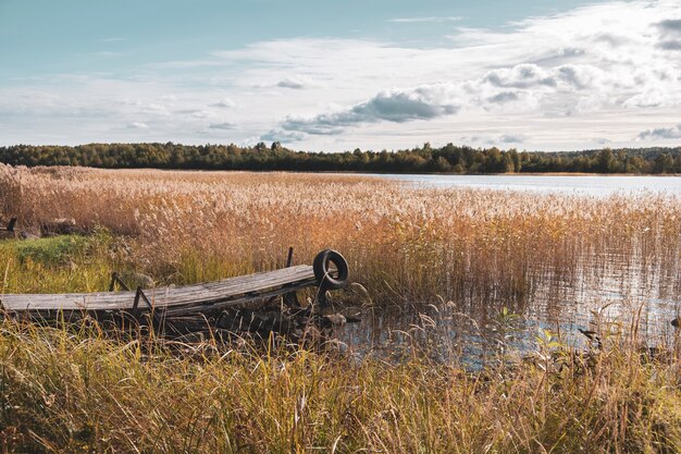 Oude houten pier voor boten op de moerassige oever van het Onegameer in Karelië met riet