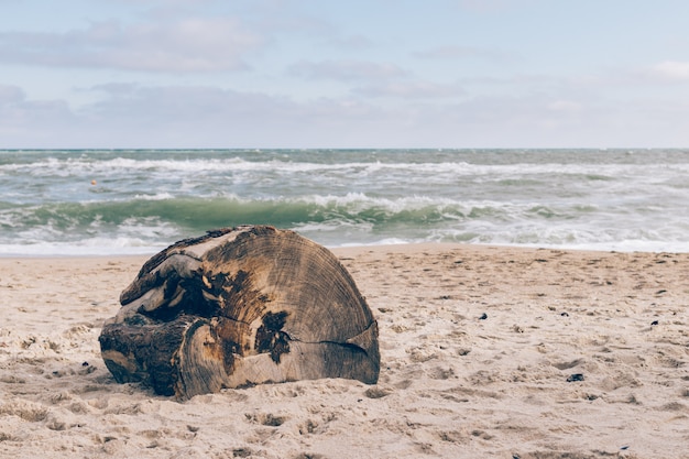 Oude houten stomp op het strand