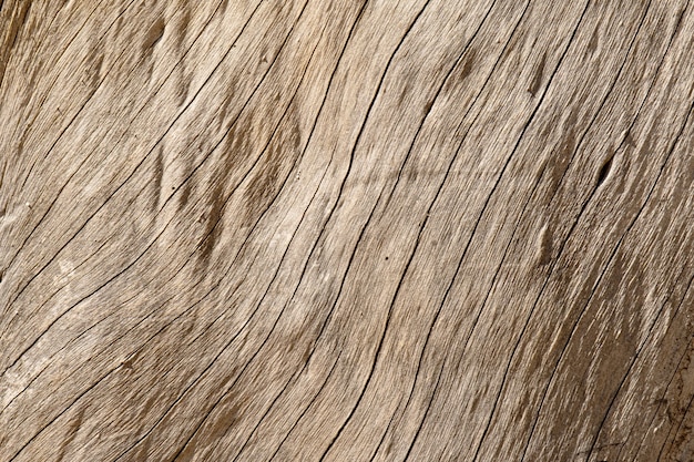 Oude houtstructuur met natuurlijke patroon achtergrond