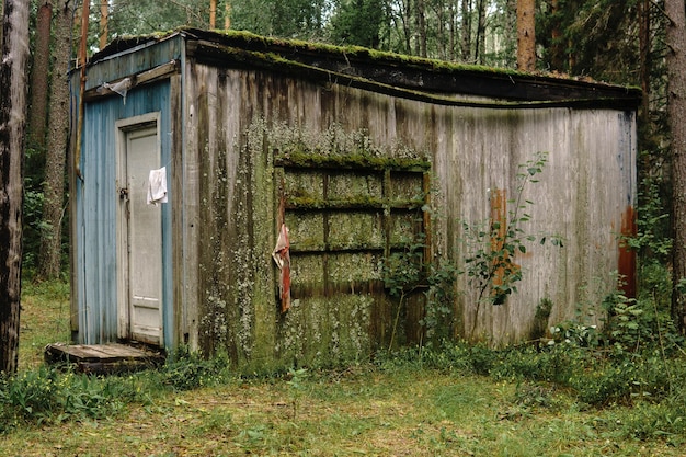 oude hut in het bos bedekt met mos en korstmossen