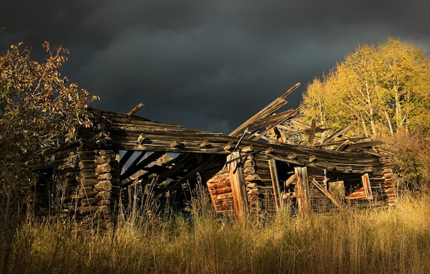 Oude hut in het nationale bos van Colorado