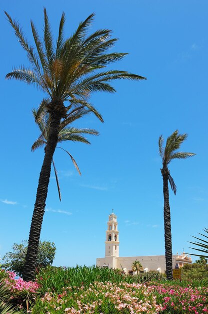 Oude Jaffa