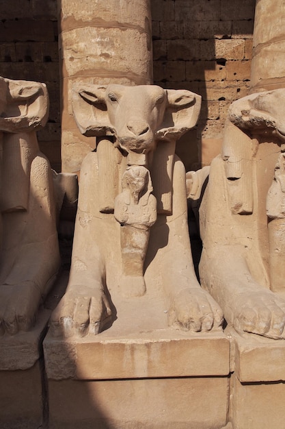 Oude Karnak-tempel in Luxor, Egypte