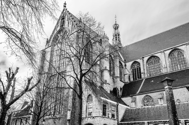 Oude kerk in Alkmaar Nederland