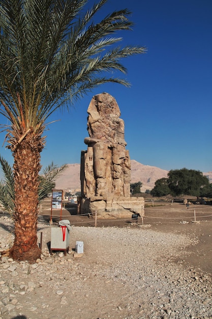 Oude kolossen van Memnon in Egypte Luxor