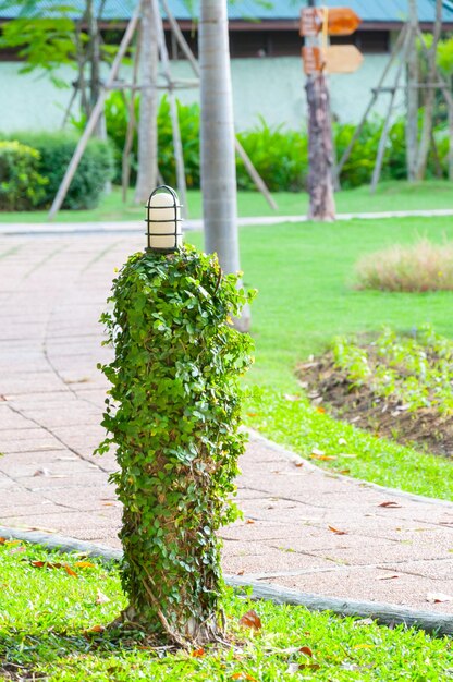 Oude lamp in het park