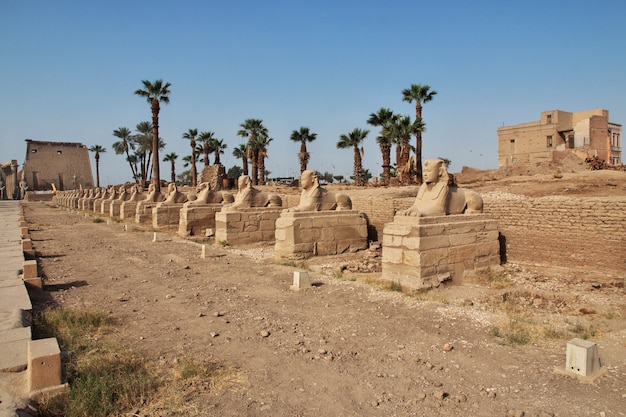 Oude Luxor-tempel in de stad van Luxor, Egypte